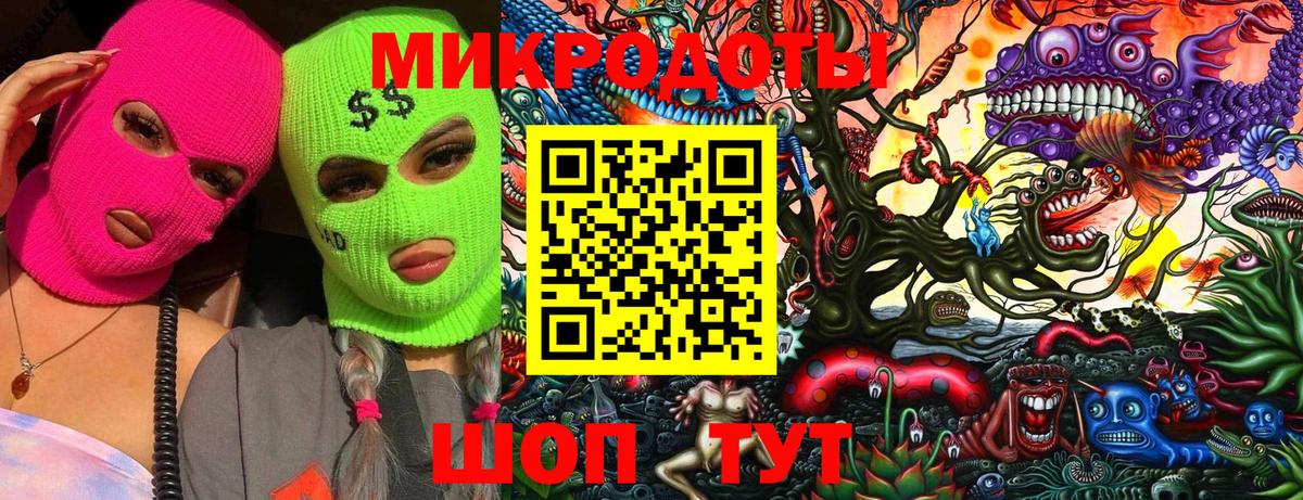 Псилоцибиновые грибы Psilocybine cubensis Кемерово